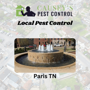 Pest Control Paris TN