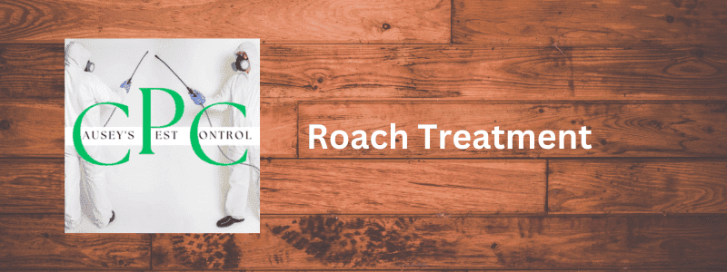 roach treatment