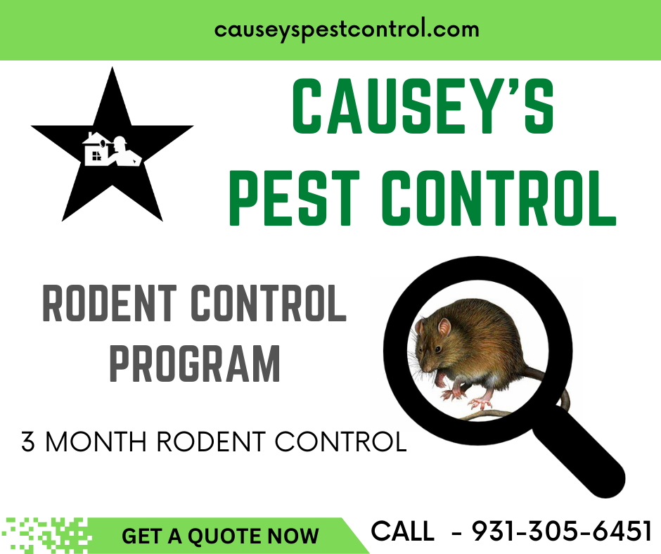 CAUSEYS pest control 3