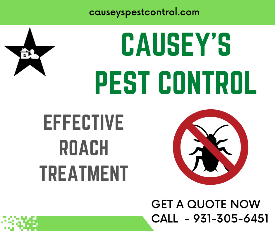 CAUSEYS pest control