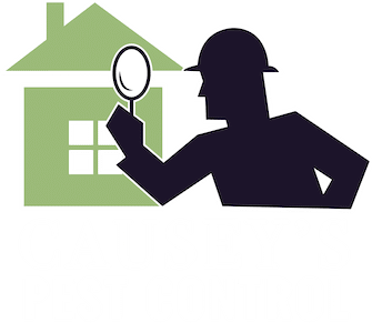 Your Trusted Pest Control Partner in Dover, TN