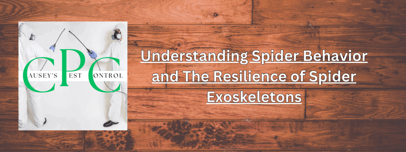 Understanding Spider Behavior and The Resilience of Spider Exoskeletons
