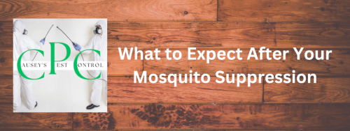 What to Expect After Your Mosquito Suppression