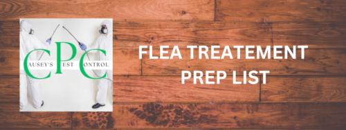 Flea Treatment Preparations