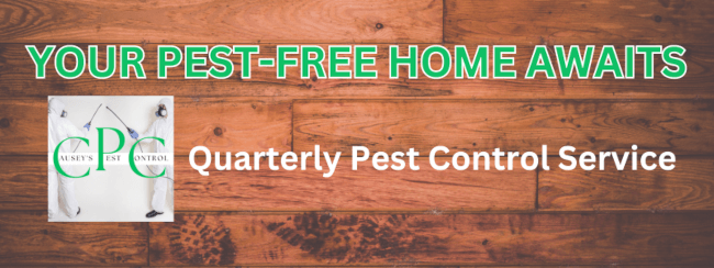Quarterly Pest Control